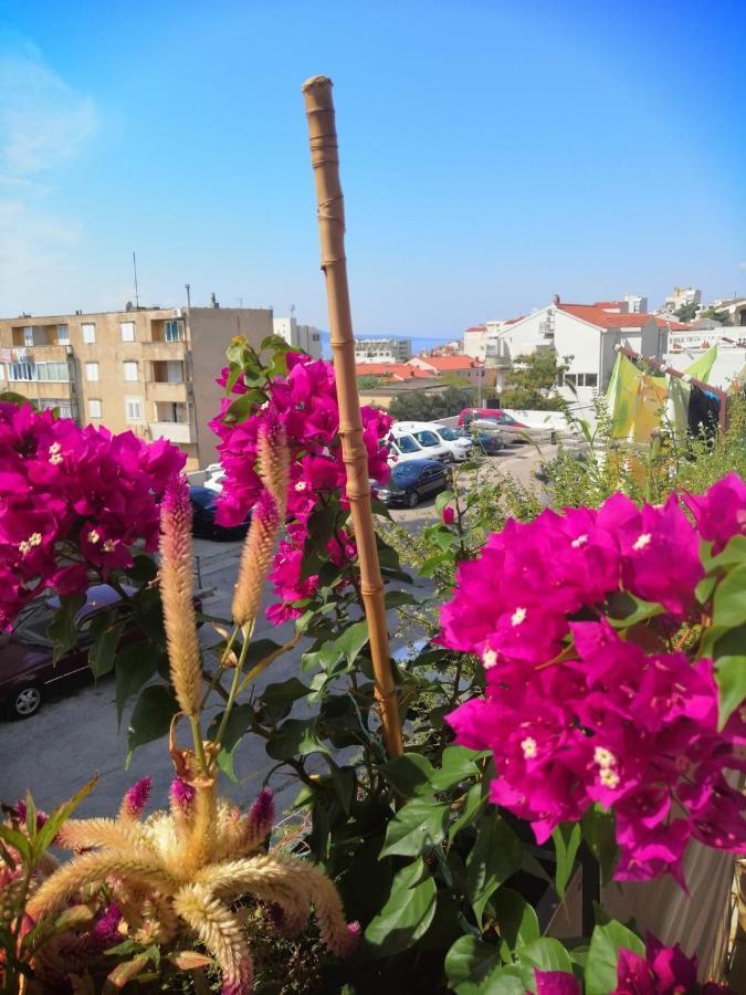 Apartment Lukas Galileo Izuzetan ماكارسكا المظهر الخارجي الصورة